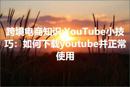 璺ㄥ鐢靛晢鐭ヨ瘑:YouTube灏忔妧宸э細濡備綍涓嬭浇youtube骞舵甯镐娇鐢? width=