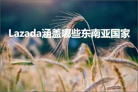 跨境电商知识:Lazada涵盖哪些东南亚国家