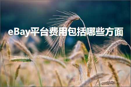 跨境电商知识:eBay平台费用包括哪些方面