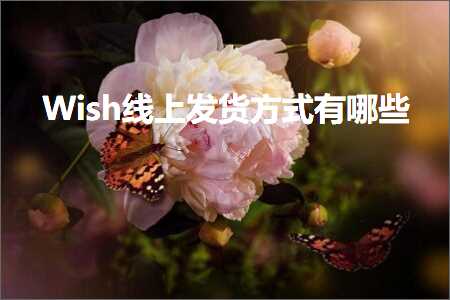 跨境电商知识:Wish线上发货方式有哪些