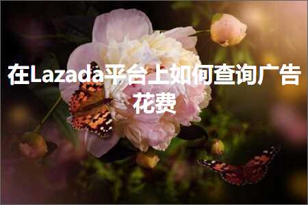 跨境电商知识:在Lazada平台上如何查询广告花费