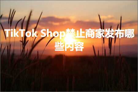 璺ㄥ鐢靛晢鐭ヨ瘑:TikTokShop绂佹鍟嗗鍙戝竷鍝簺鍐呭